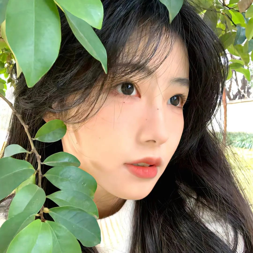 火之夜